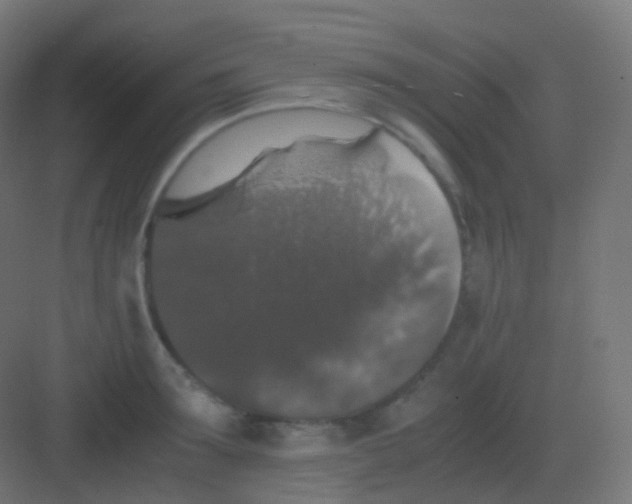 X0000081330899200702082159