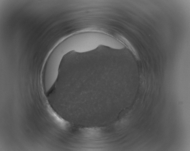 X0000081330900200702082159