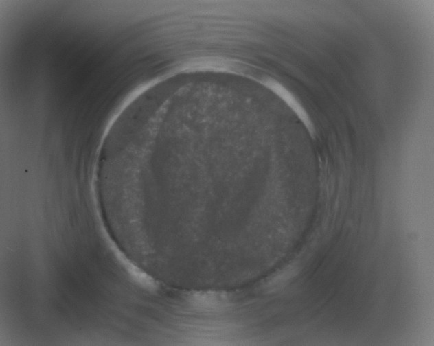 X0000081330901200702082159