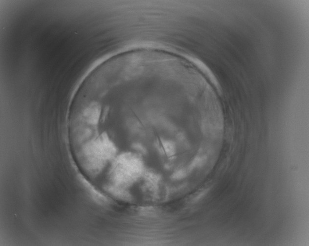 X0000081330903200702082159