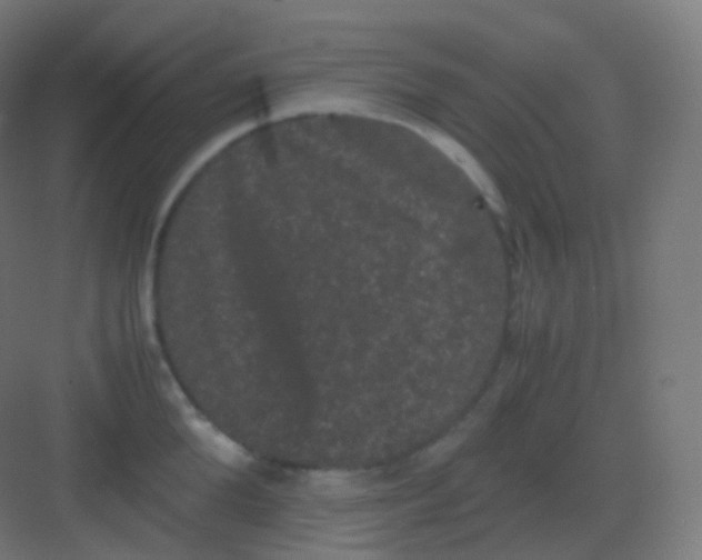 X0000081330904200702082159