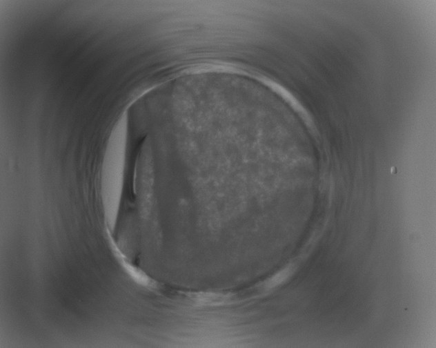 X0000081330905200702082159