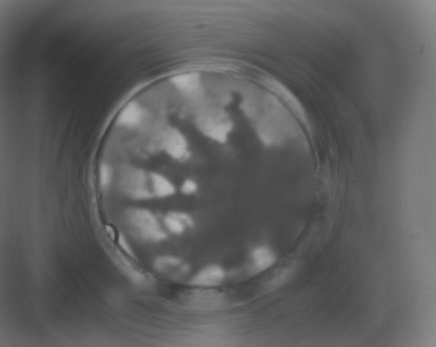 X0000081330907200702082159