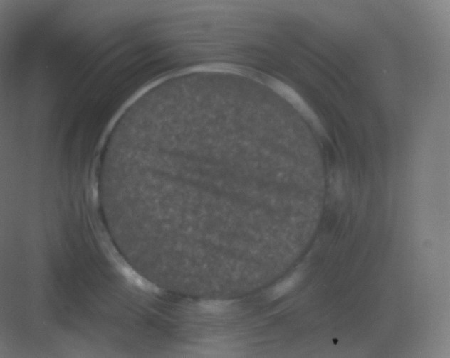 X0000081330908200702082159