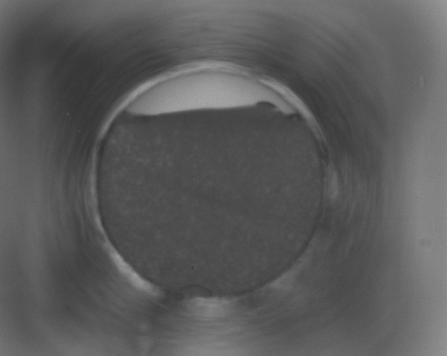 X0000081330910200702082159