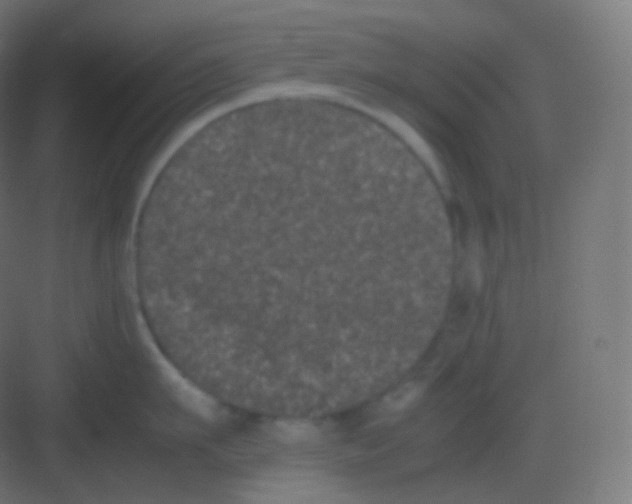 X0000081330911200702082159