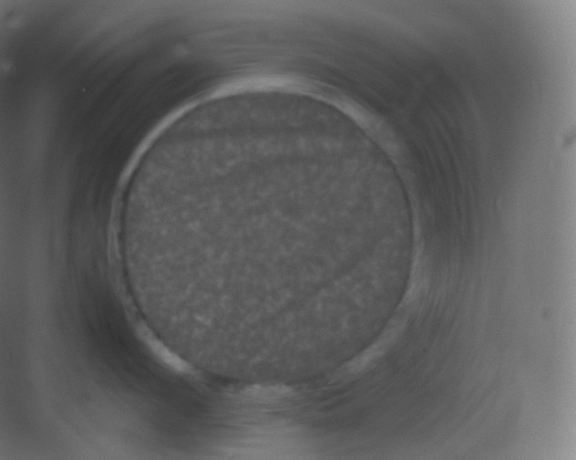 X0000081330912200702082159