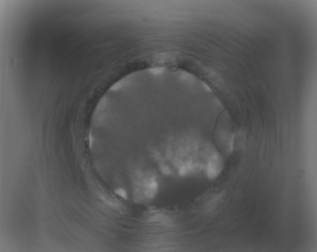 X0000081330913200702082158