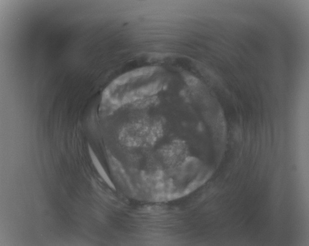 X0000081330914200702082158