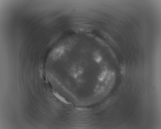 X0000081330915200702082158