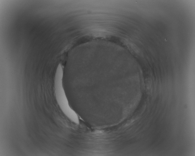 X0000081330916200702082158