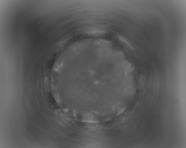 X0000081330917200702082158