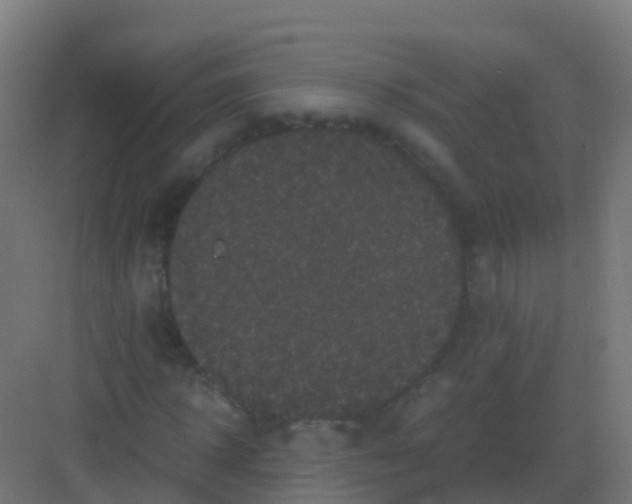 X0000081330918200702082158