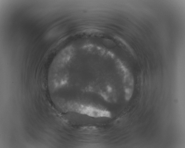 X0000081330919200702082158