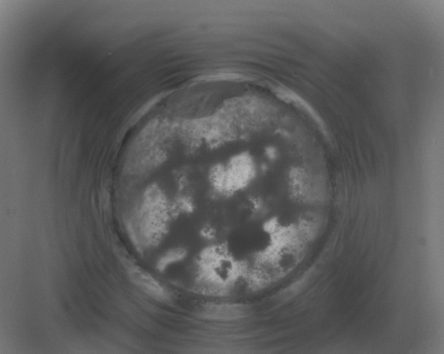 X0000081330921200702082158