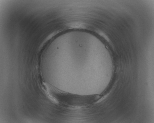 X0000081330922200702082158