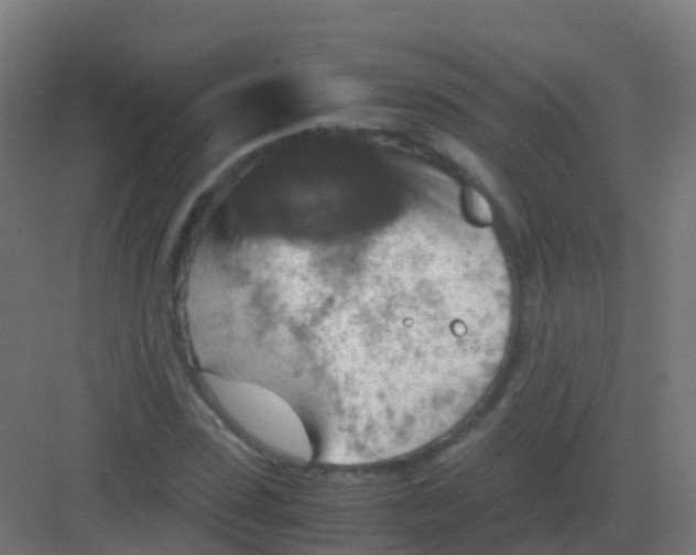 X0000081330923200702082158