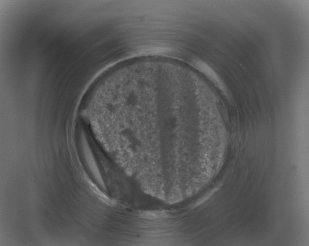 X0000081330924200702082158