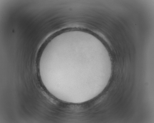 X0000081330927200702082158