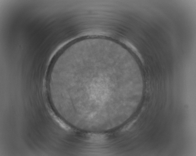 X0000081330928200702082158