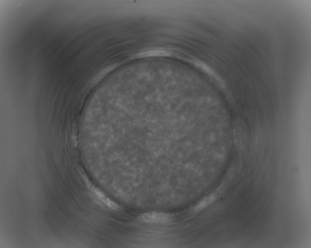 X0000081330929200702082158