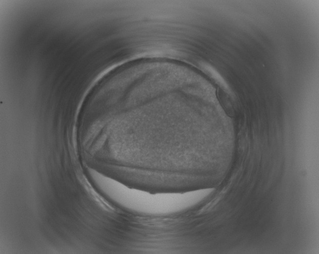 X0000081330932200702082158