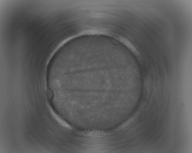 X0000081330934200702082158