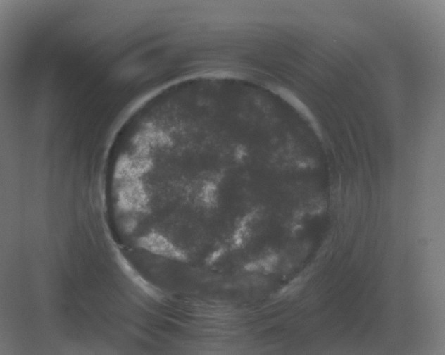 X0000081330935200702082158