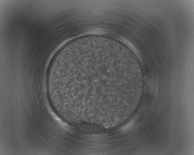 X0000081330939200702082158