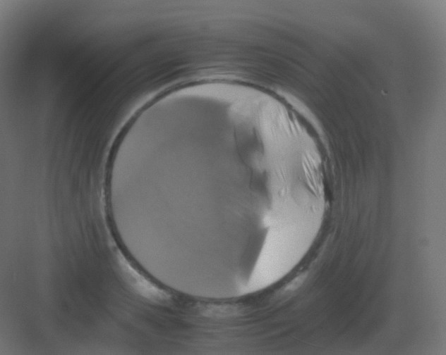 X0000081330941200702082158