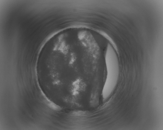 X0000081330943200702082158