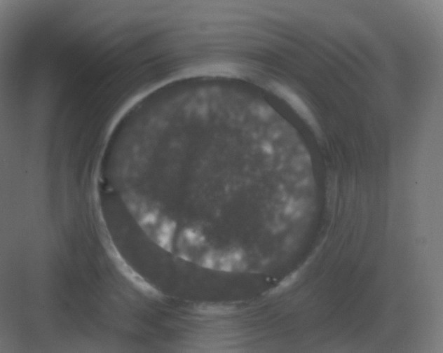 X0000081330944200702082158