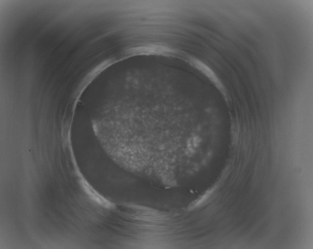 X0000081330946200702082158