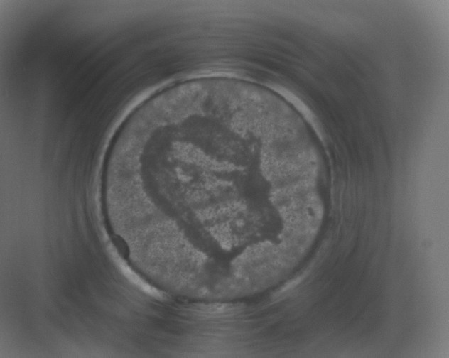 X0000081330949200702082158