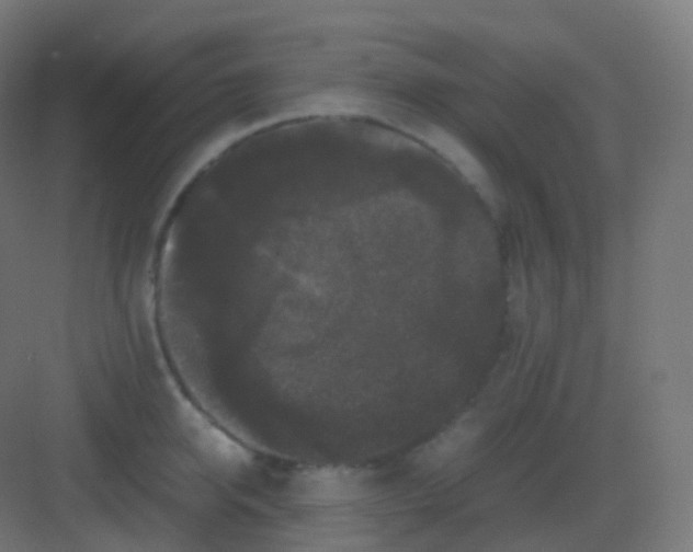 X0000081330950200702082159