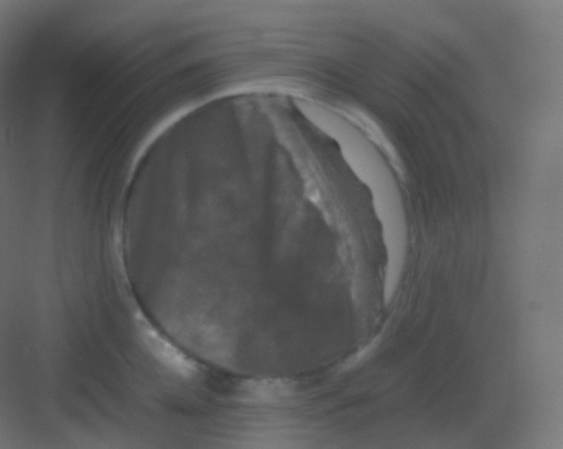 X0000081330952200702082159