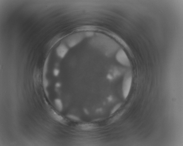 X0000081330953200702082159