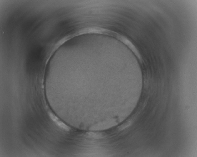 X0000081330954200702082159