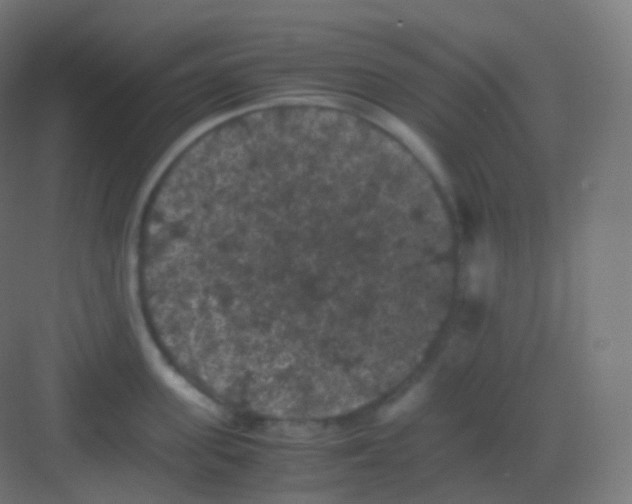 X0000081330955200702082159