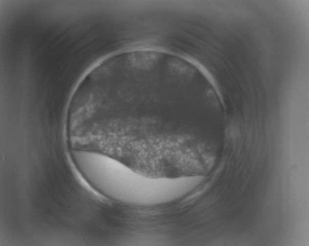 X0000081330957200702082159