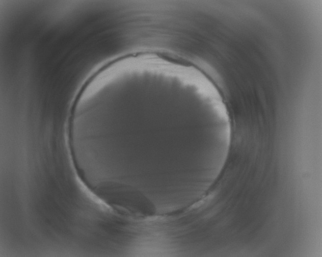 X0000081330958200702082159