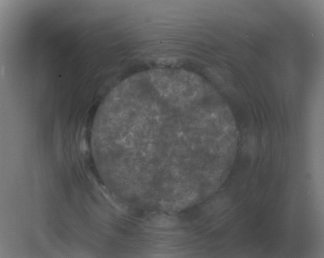 X0000081330962200702082158