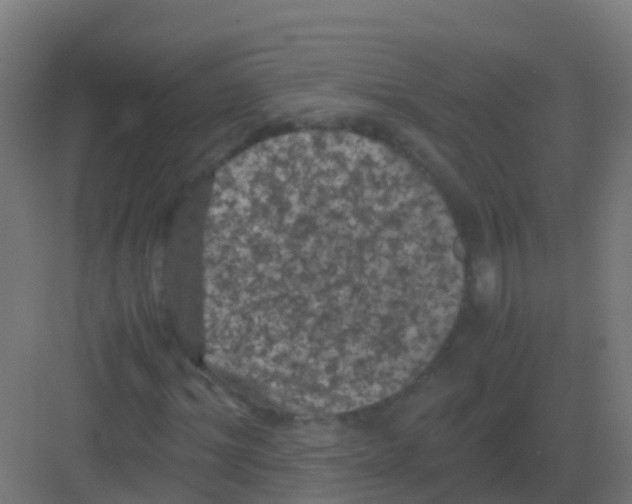 X0000081330964200702082158