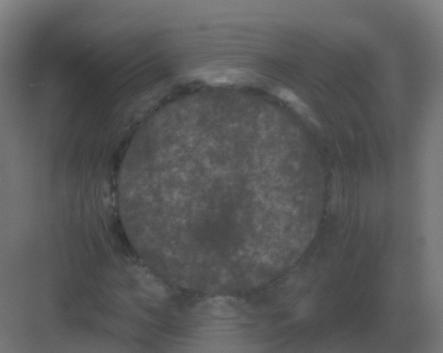 X0000081330966200702082158