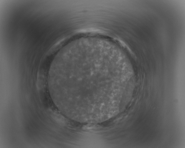 X0000081330967200702082158