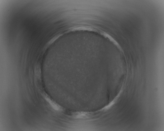 X0000081330969200702082158