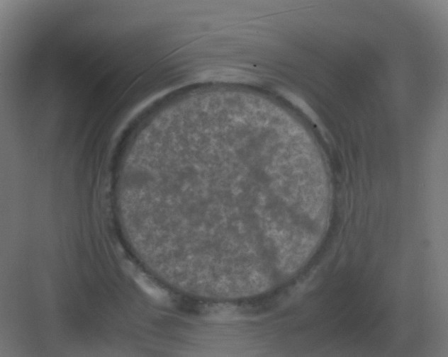 X0000081330971200702082158