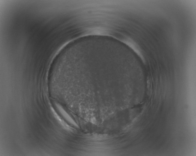 X0000081330972200702082158