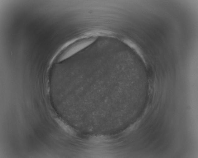 X0000081330973200702082158