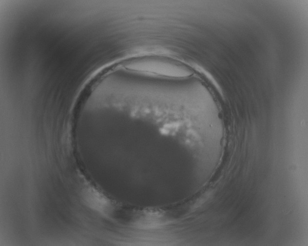 X0000081330975200702082158